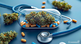 Насколько хорошо вы знаете марихуану и ее лечебные свойства?