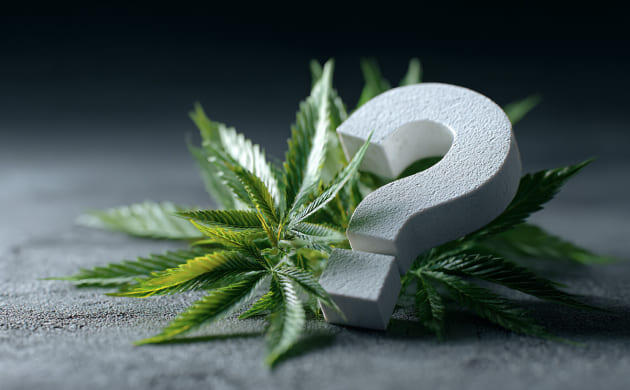 Что делают из конопли?