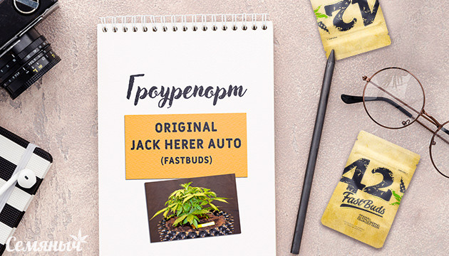 Гроурепорт сорта Jack Herer Auto
