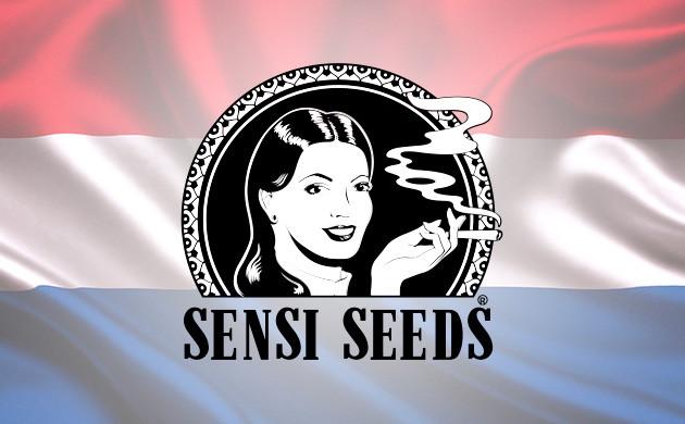 Sensi Seeds – представитель европейской селекции