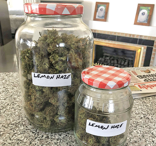 Урожай в банках