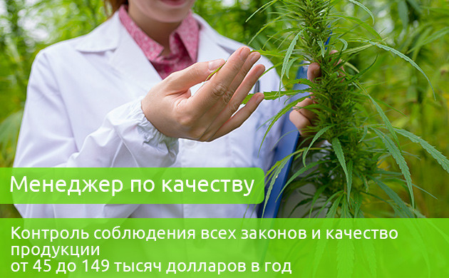 Зарплата менеджера по качеству 45-149 тыс. долларов