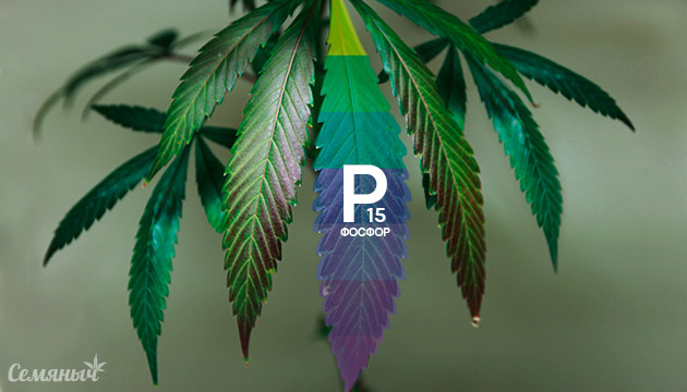 Дефицит фосфора