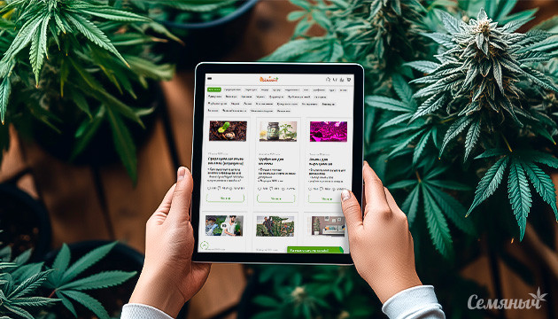 Руководство для новичков по статьям на «Семяныче»