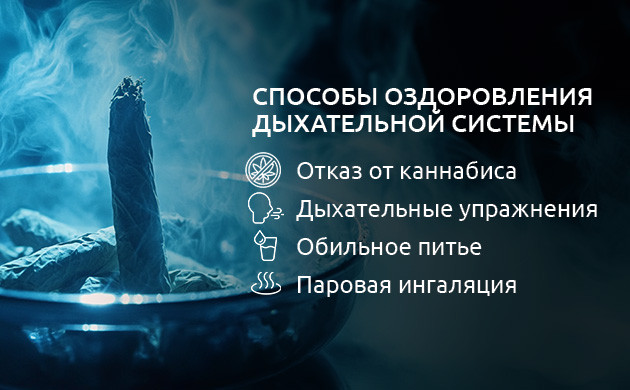 Как очистить легкие от токсинов после конопли