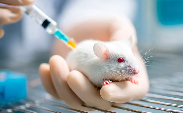 Эвкалиптол – природный антиоксидант