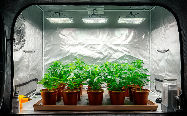 Оптимизация пространства без потери урожая