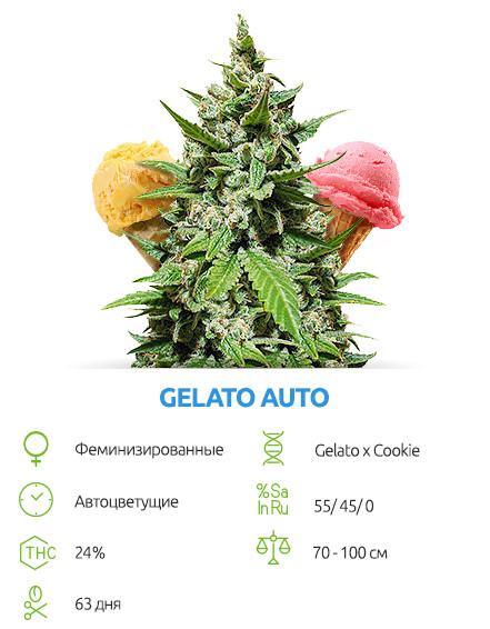 Gelato Auto от Семяныча