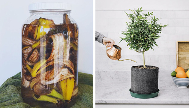 Приготовление бананового чая