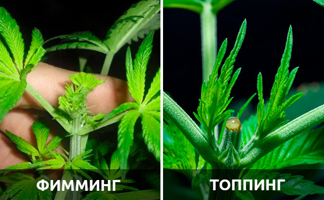 Фимминг более эффективен в некоторых случаях