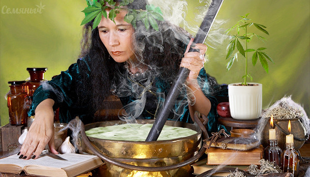 Органика для конопли