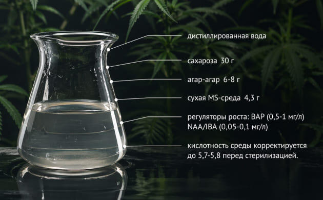 Компоненты агаровой среды для культуры тканей