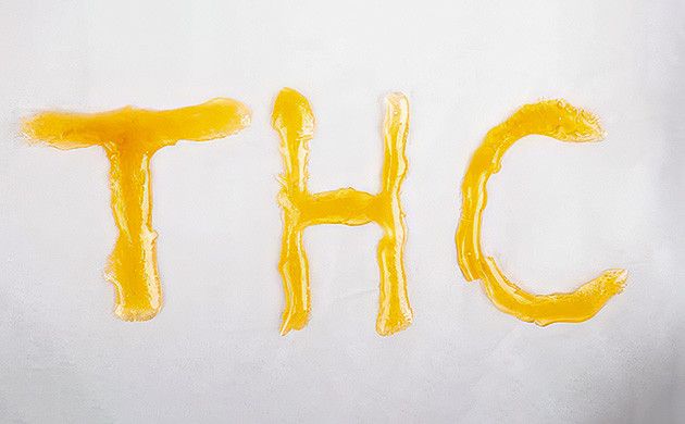 Воздействие конопляной смолы