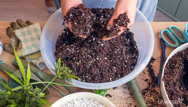 Приготовление почвосмеси для выращивания марихуаны