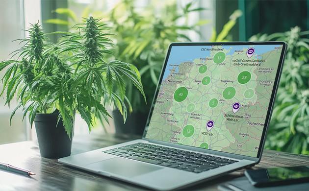 Как стать членом каннабис-клуба в Германии