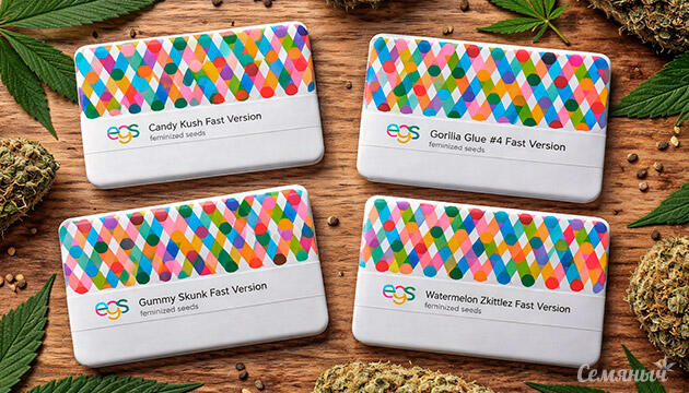 Новые сорта от Easy Grow Seeds