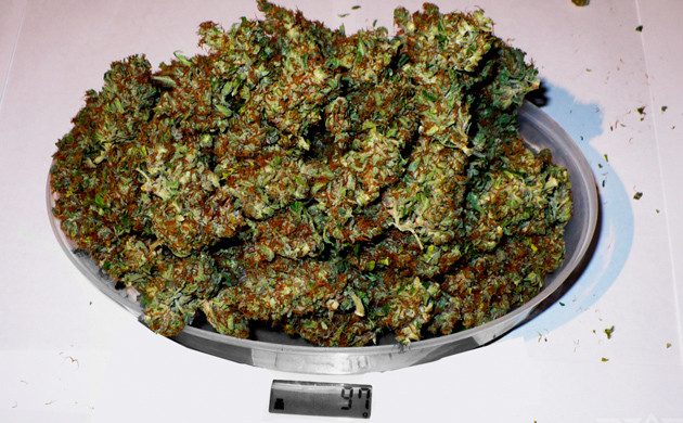 Взвешивание сухих шишек