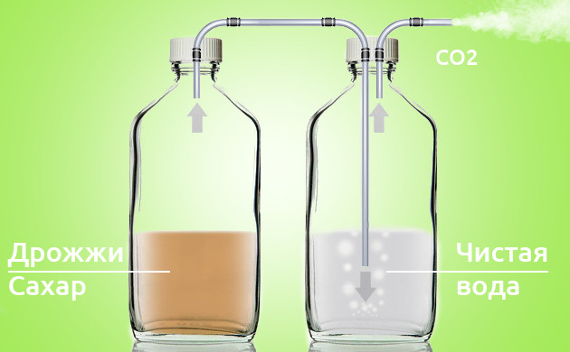 Процесс брожения