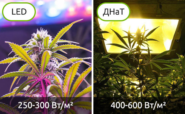 LED и ДНаТ лампы