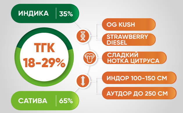 Характеристики генетики Bruce Banner