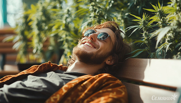 Эффекты марихуаны на настроение и самочувствие