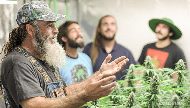 Путь гровера: от рутины к искусству