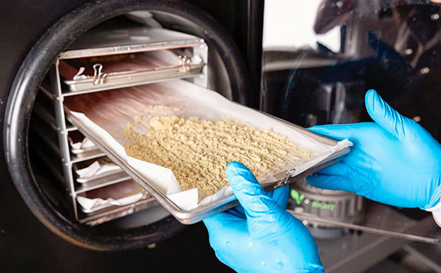 Сублимационная сушка бабл хэша