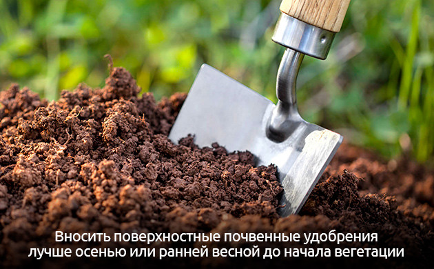 Подготовка к вегетации: когда вносить удобрения