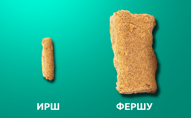 Почем можно купить гашиш в Египте