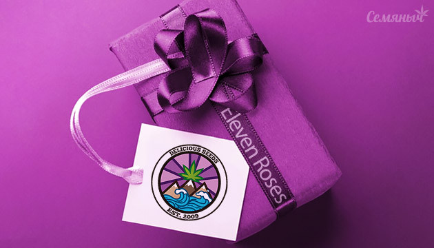 Акция на сорта Delicious Seeds