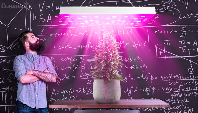 Расчет освещения для конопли