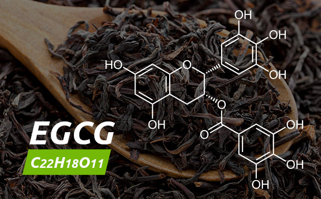 Формула галлат эпигаллокатехина