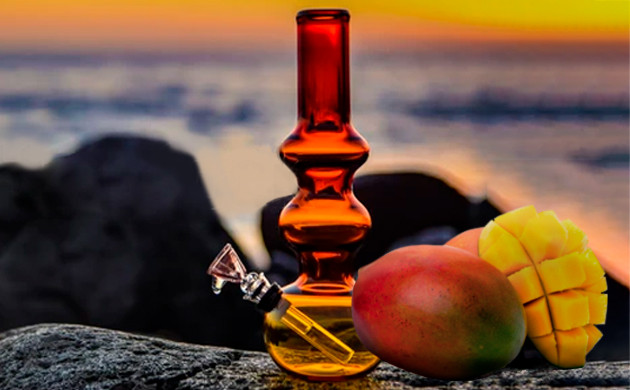 Бонг и манго