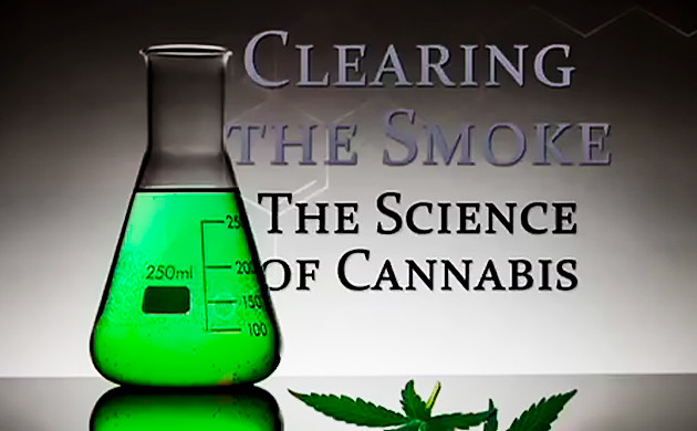 Развеивая дым: наука о марихуане 2011 год
