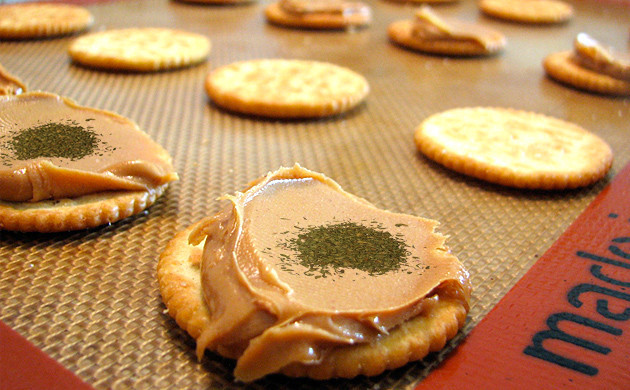 Торопыжки из сушеной марихуаны