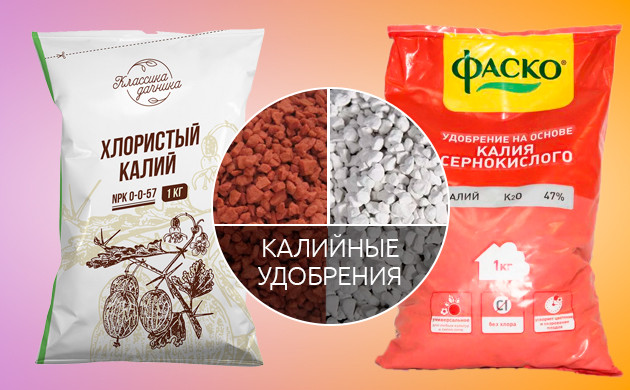 Хлористый и сернокислый калий