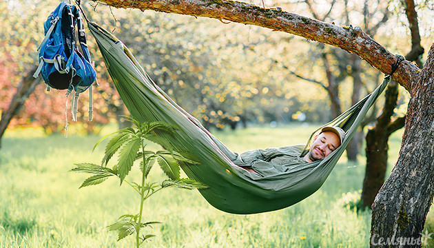 Неприхотливые сорта