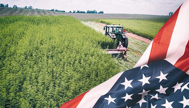 Техническая конопля в США