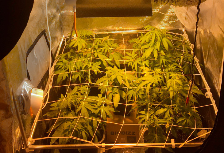 Сетка для скрога