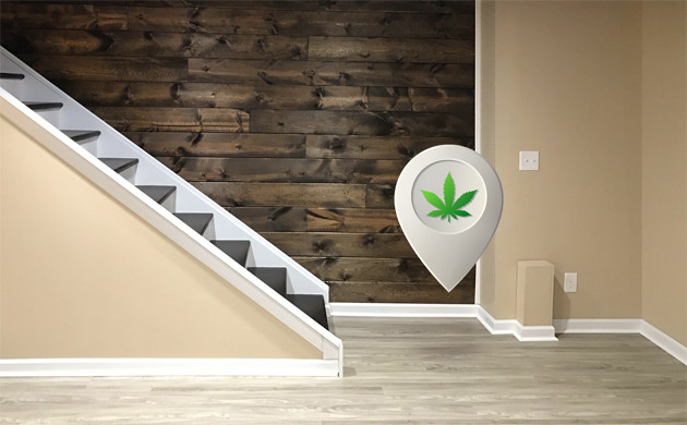 Выращивание конопли в подвале