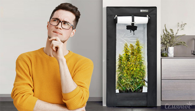 Гроубокс для выращивания конопли