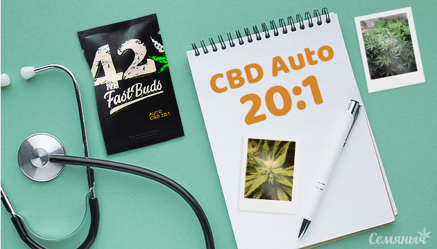 Гроурепорт сорта CBD Auto 20:1