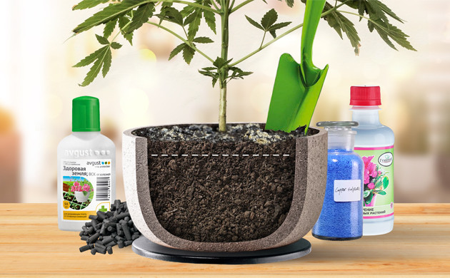 Устранение плесени