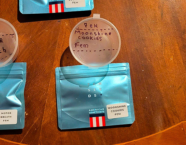 Moonshine Cookies в герметичном контейнере