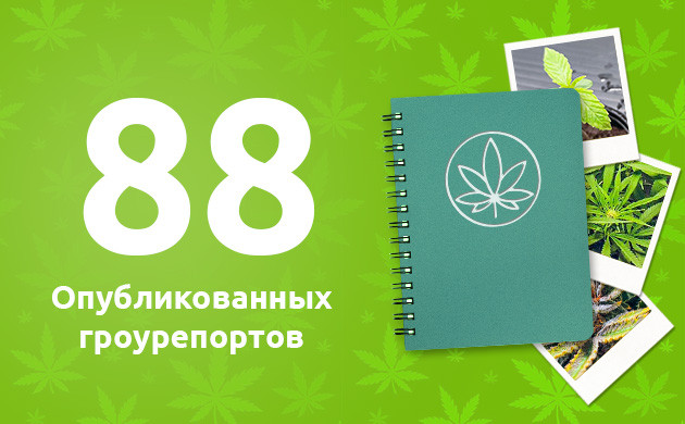 88 опубликованных гроурепорта