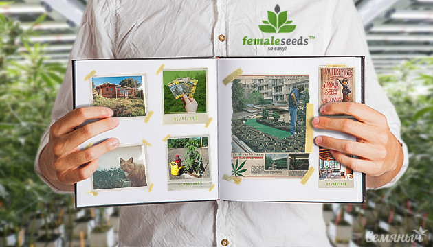 Обзор на сидбанк Female Seeds