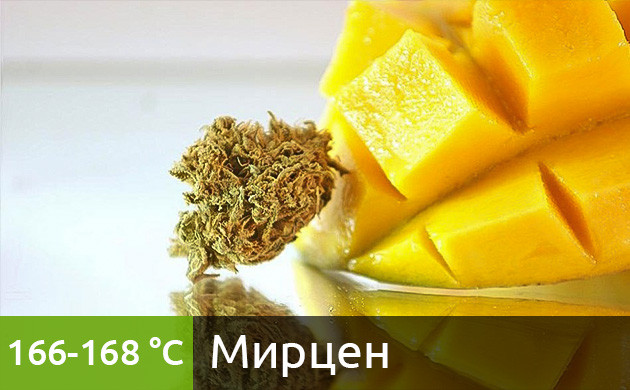 Оптимальная температура для вейпинга мирцена (166-168 °C)