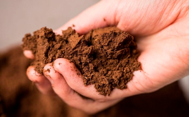 Суглинковый тип почвы