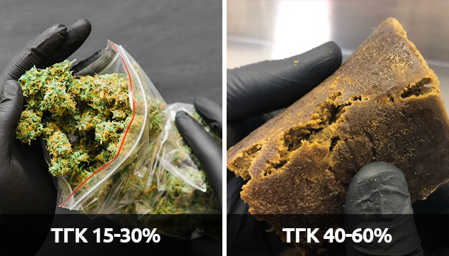 ТГК в шишках и в хеше