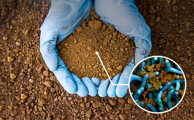 Питательная среда для растений